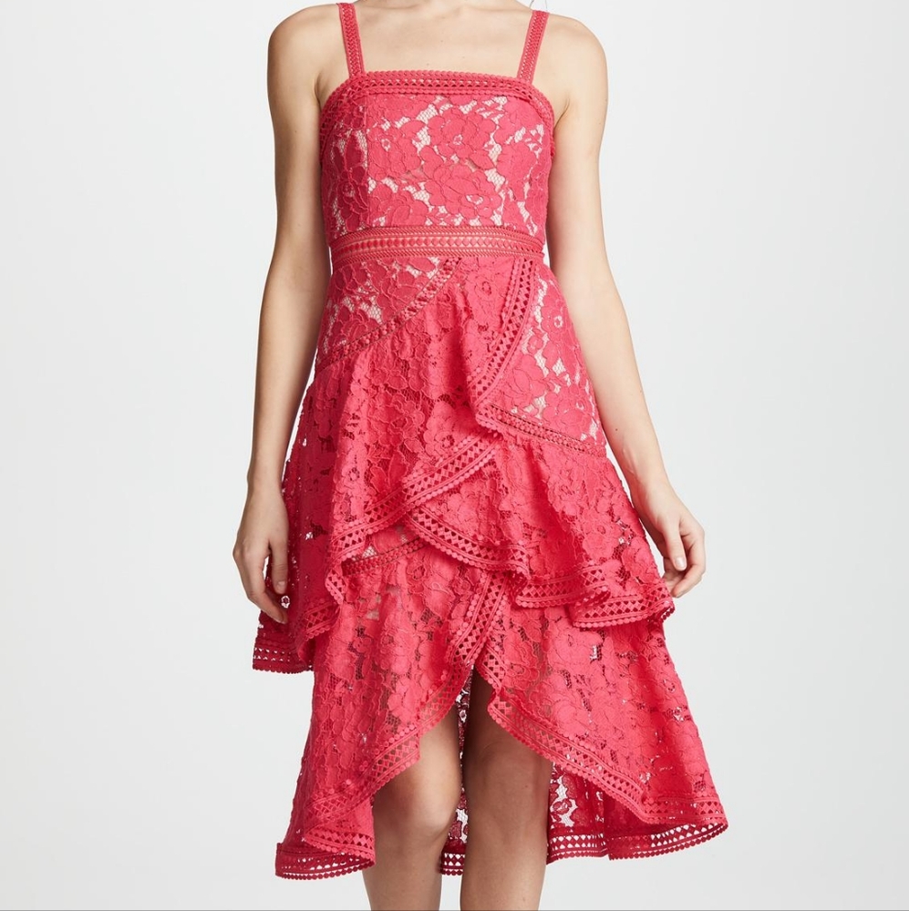 Alice + Olivia lace 'Angelita' dress